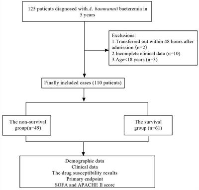 Microbiological characteristics and risk factors on prognosis associated with Acinetobacter baumannii bacteremia in general hospital: A single-center retrospective study